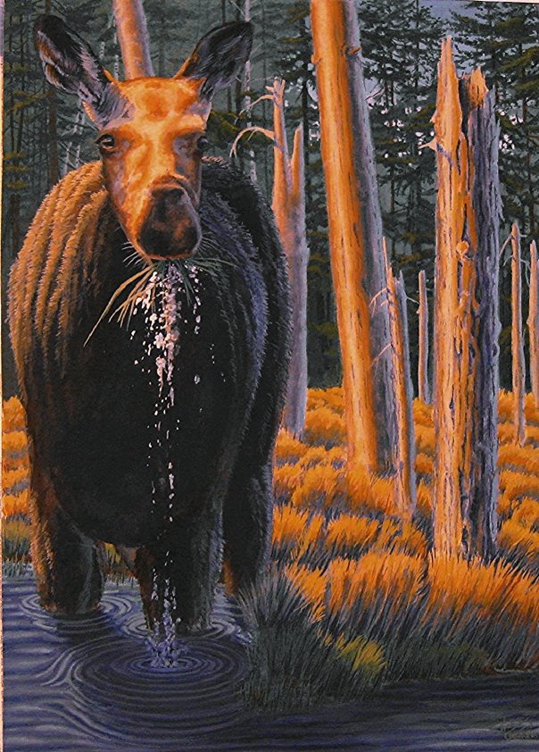 Myth Creek Encounter